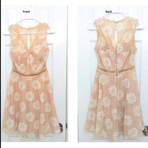 Nude Lace Sleeveless Dress designer Blue Rain _ Francesca’s New with tag